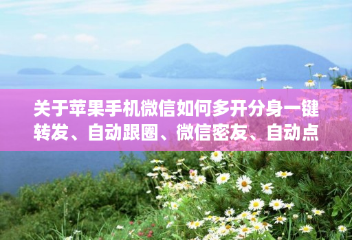 关于苹果手机微信如何多开分身一键转发、自动跟圈、微信密友、自动点赞、评论的信息