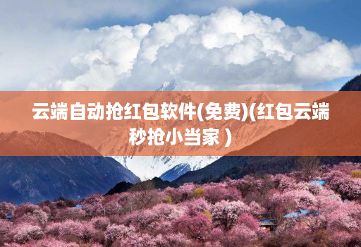 云端自动抢红包软件(免费)(红包云端秒抢小当家 )