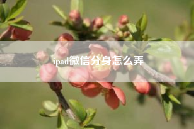 ipad微信份身怎么弄 iPad微信怎么切换账号？