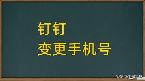 钉钉更换手机号了该怎么打卡（钉钉更换手机打卡怎么解决）